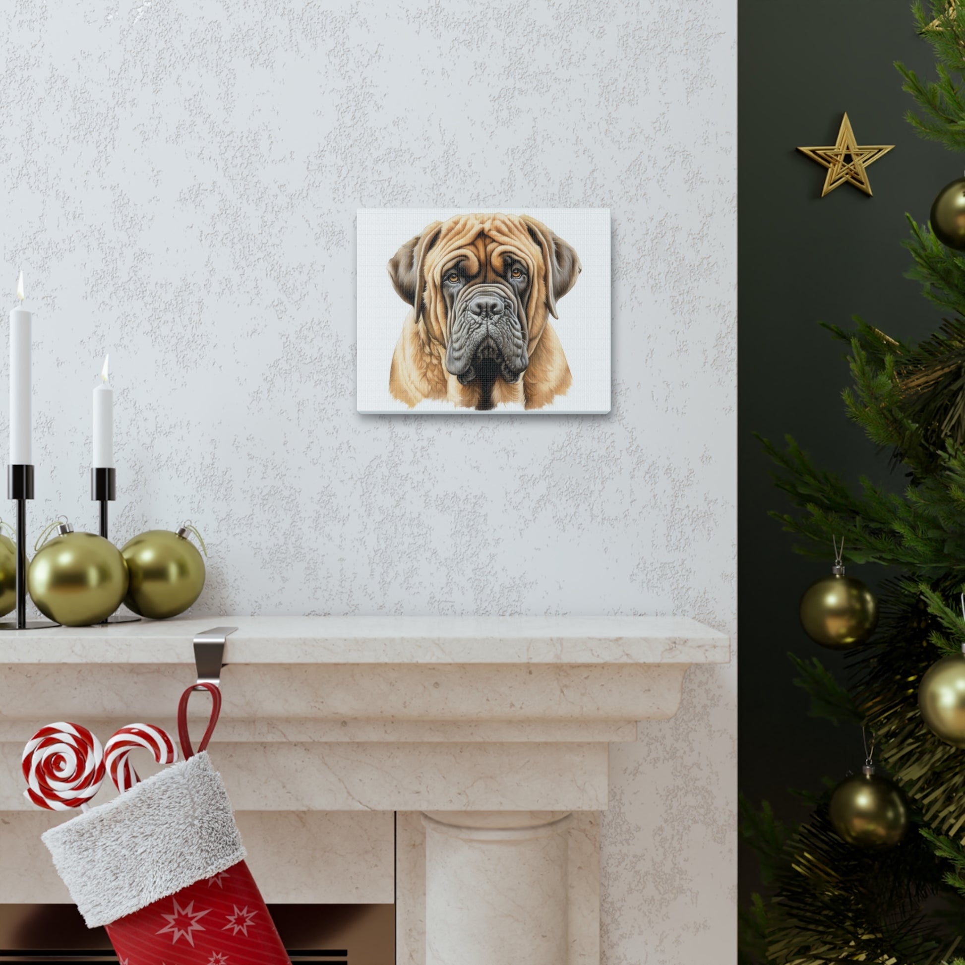 English Mastiff Canvas Gallery Wraps