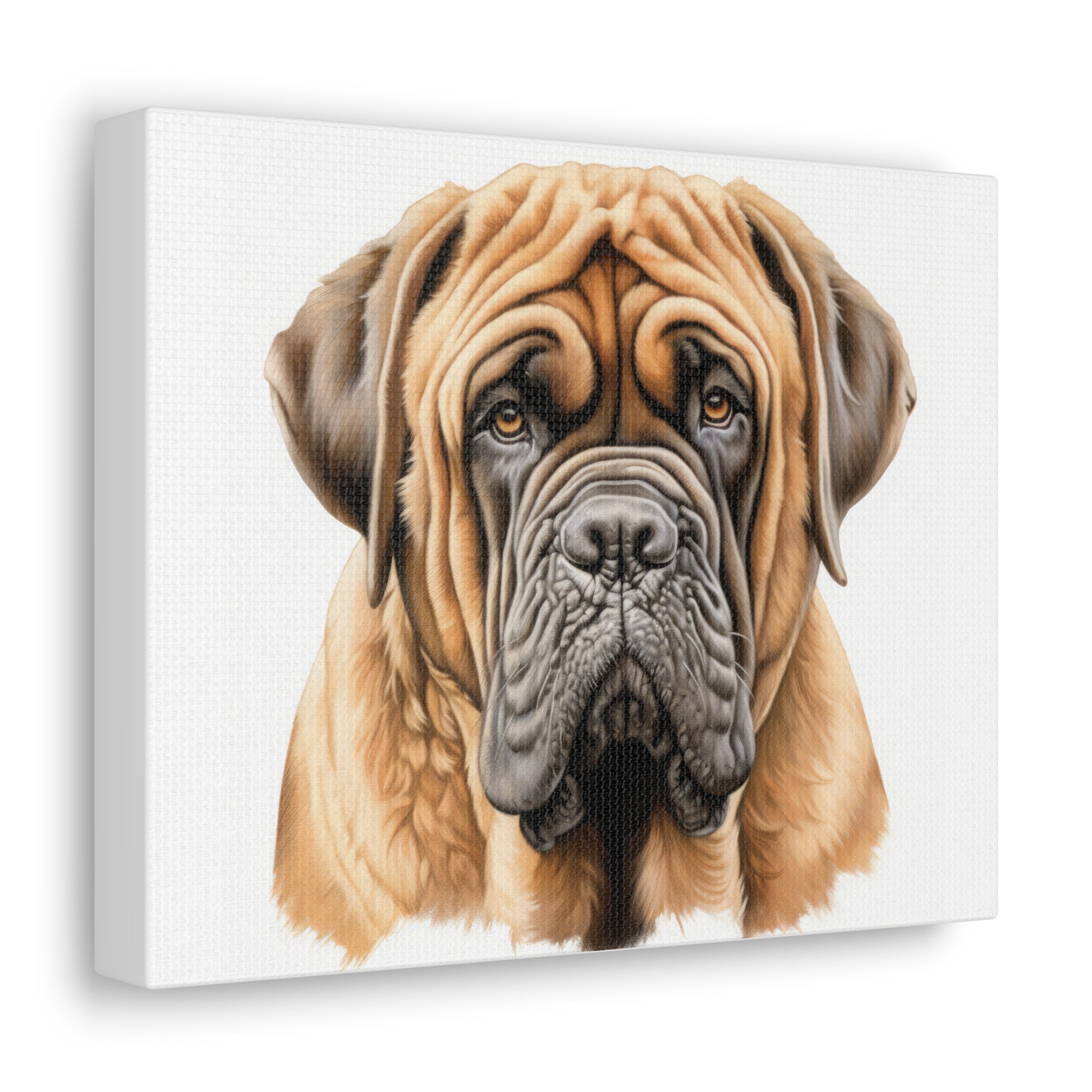 English Mastiff Canvas Gallery Wraps 10″ x 8″ Premium Gallery Wraps (1.25″)