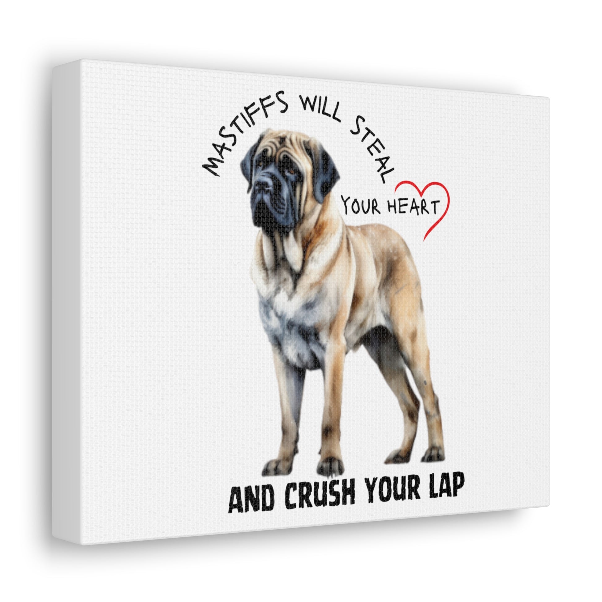 English Mastiff Canvas Gallery Wraps 10″ x 8″ Premium Gallery Wraps (1.25″)