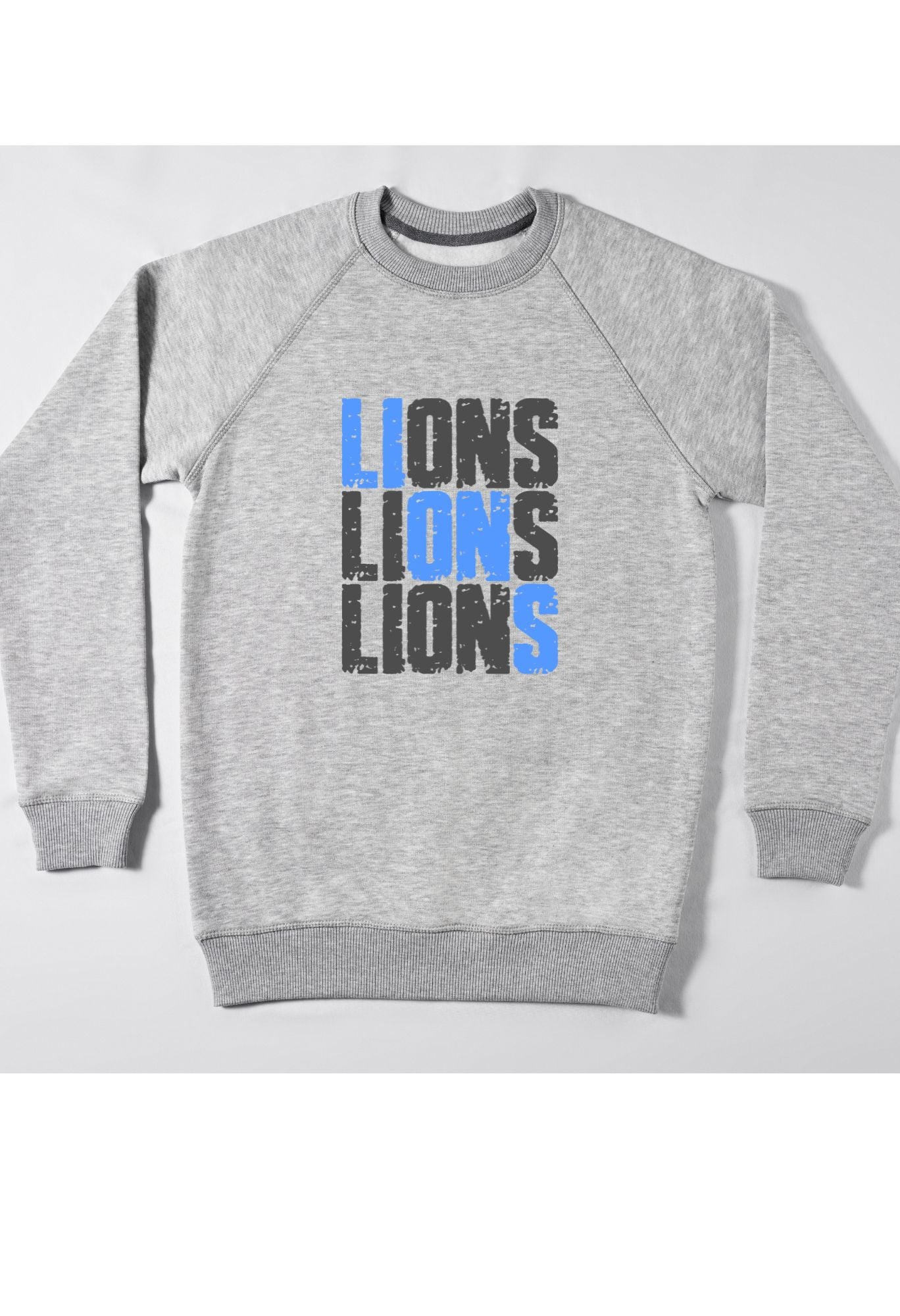 Detroit Lions T Shirt/Sweatshirt