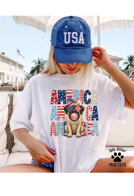 English Mastiff America