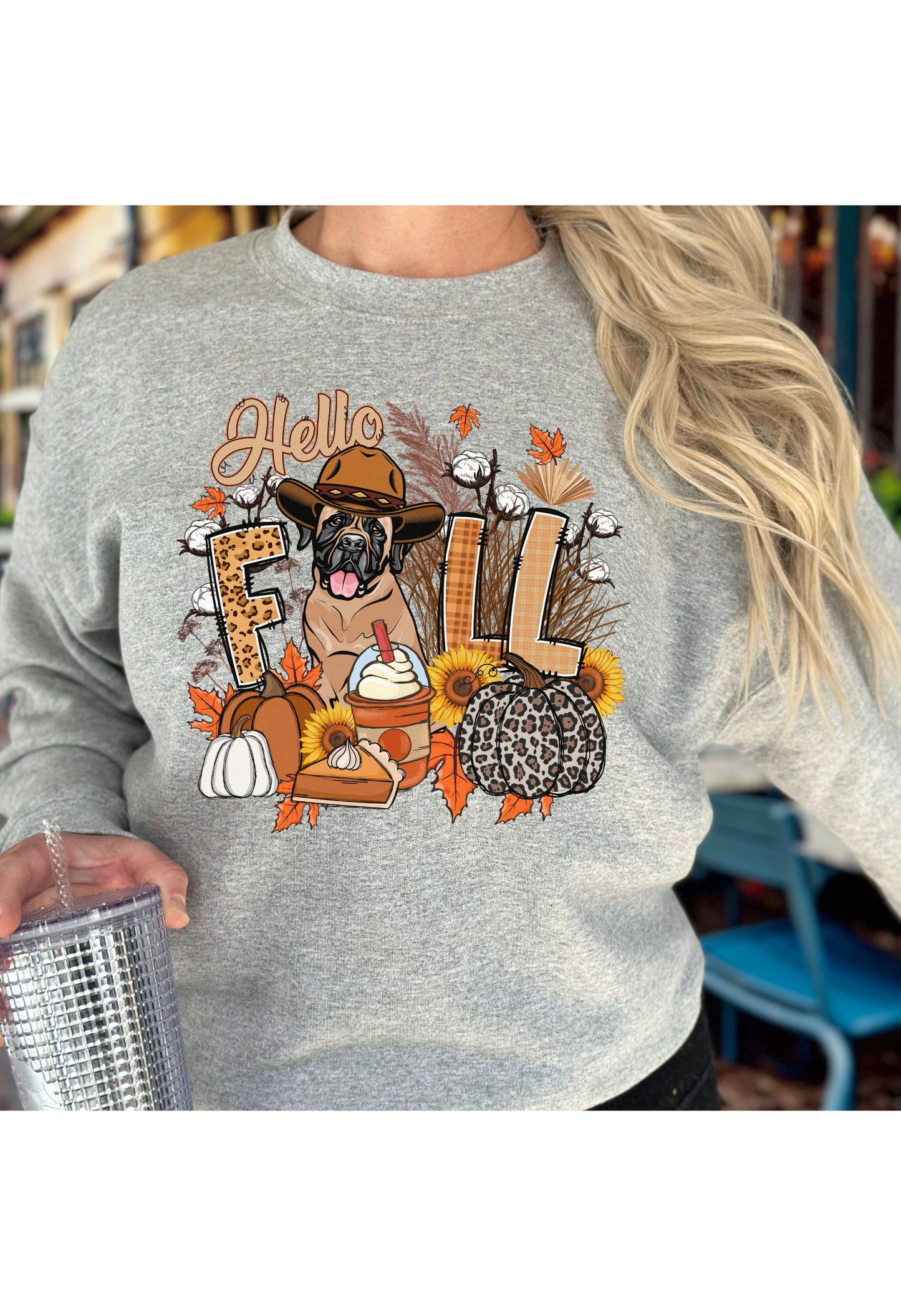 Mastiff Hello Fall T Shirt / Sweatshirt