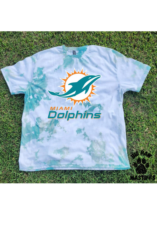 Miami Dolphins T-Shirt (2 Options)