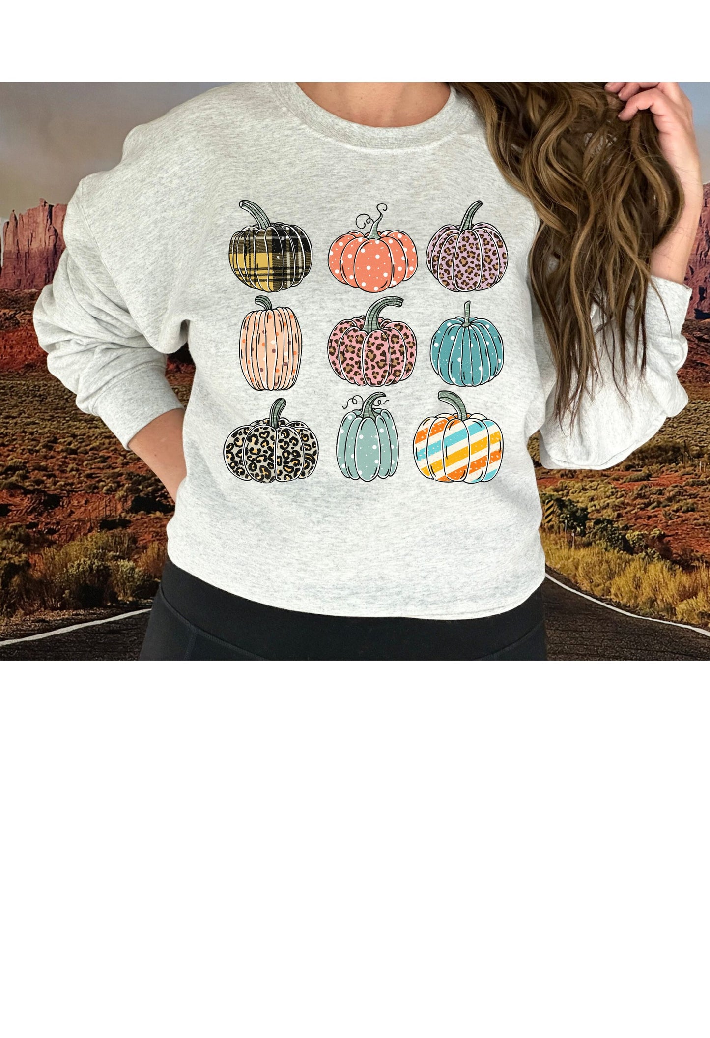 Fall Pumpkins T Shirt/Sweatshirt