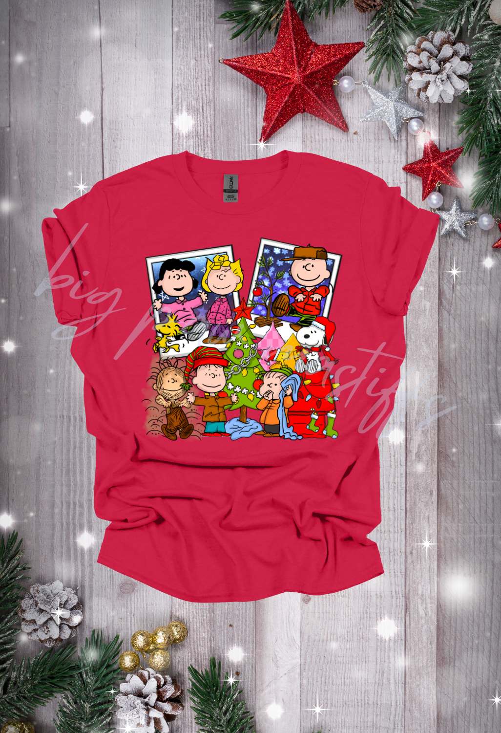 Charlie Brown Christmas (options) T Shirt/Sweatshirt